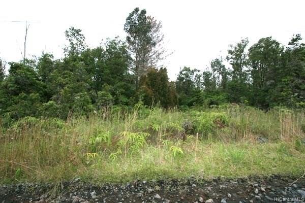 00 Kaleponi Street  Volcano, Hi vacant land for sale - photo 6 of 11