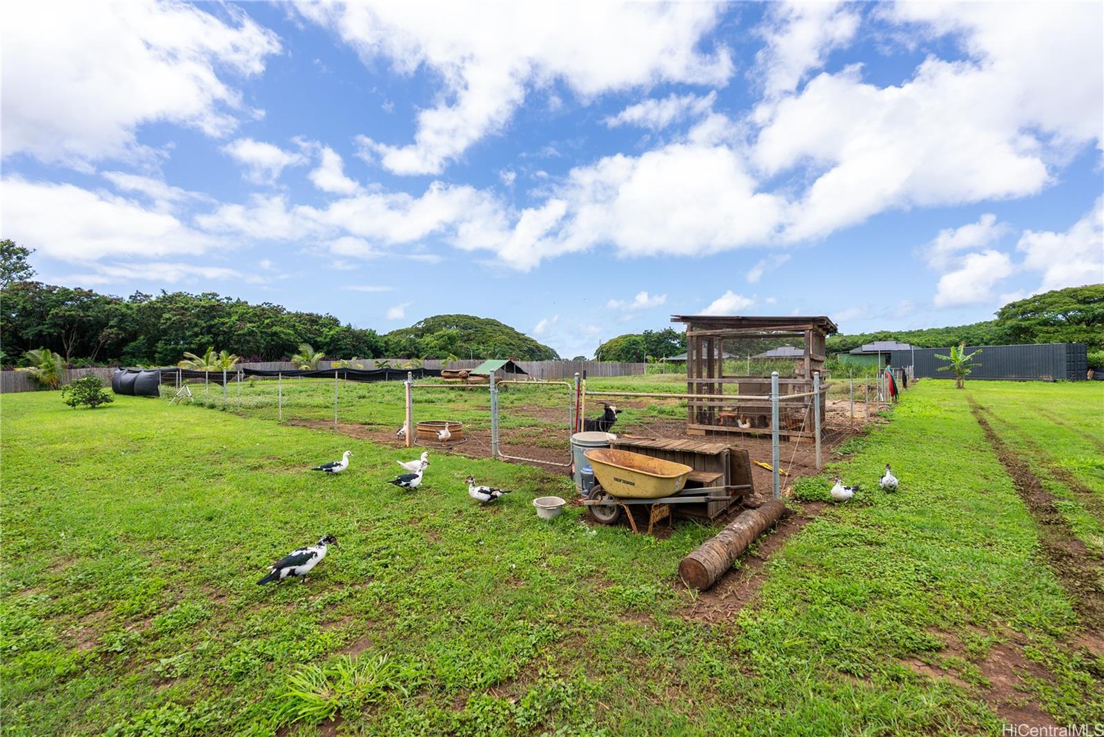 00 Kamehameha Hwy B1 Haleiwa, Hi vacant land for sale - photo 8 of 13