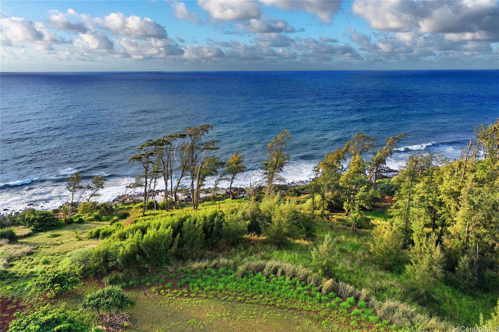 00 Kapoli Street 4 Kealia, Hi vacant land for sale - photo 4 of 15