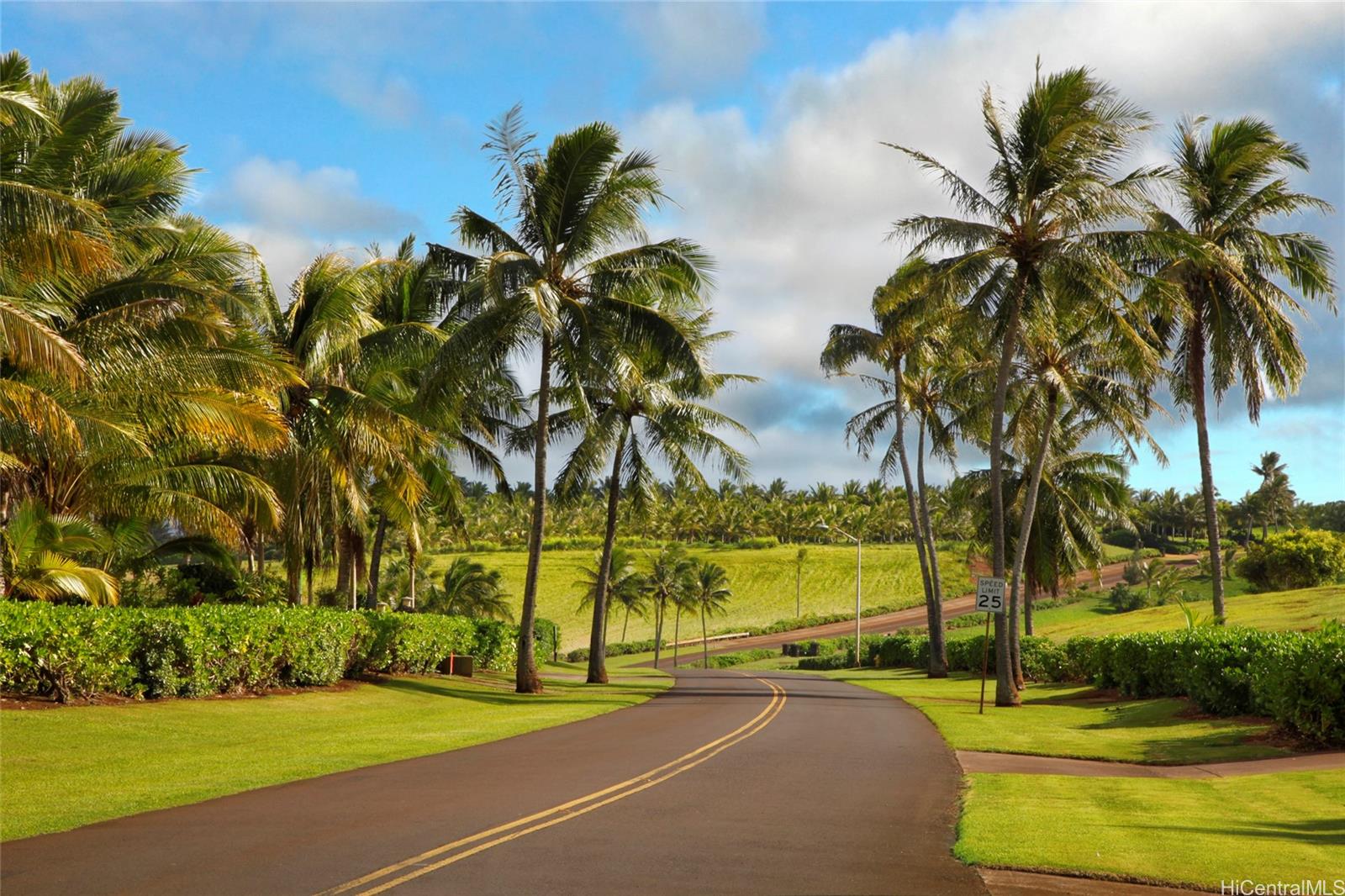 00 Kapoli Street 4 Kealia, Hi vacant land for sale - photo 10 of 15