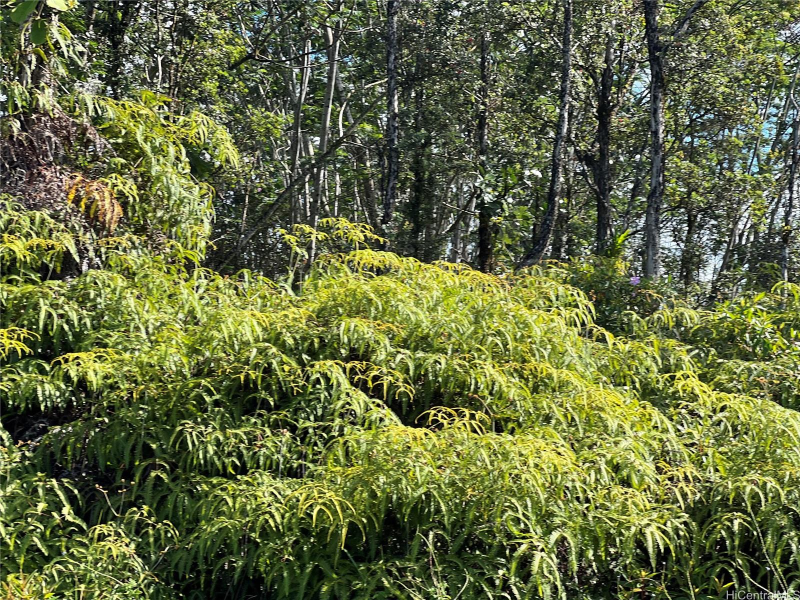 000 19th Ave  Keaau, Hi vacant land for sale - photo 2 of 15