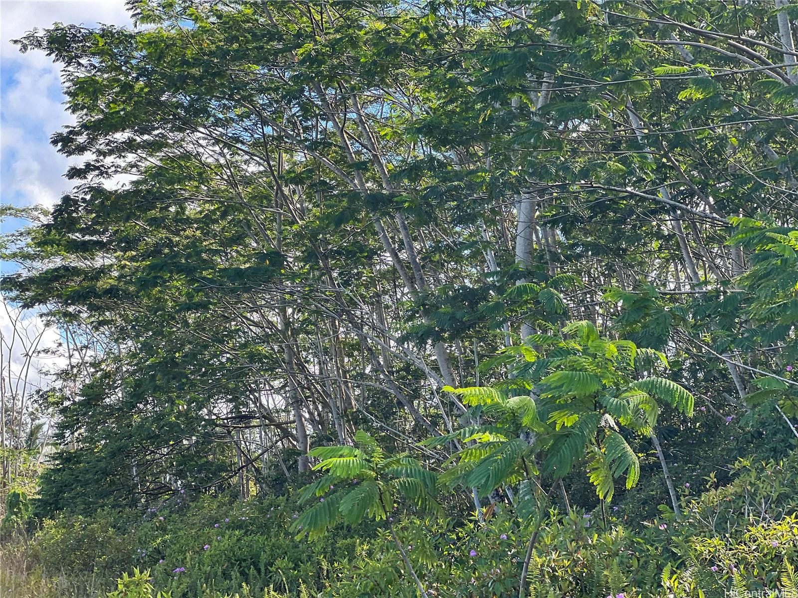 000 19th Ave  Keaau, Hi vacant land for sale - photo 14 of 15
