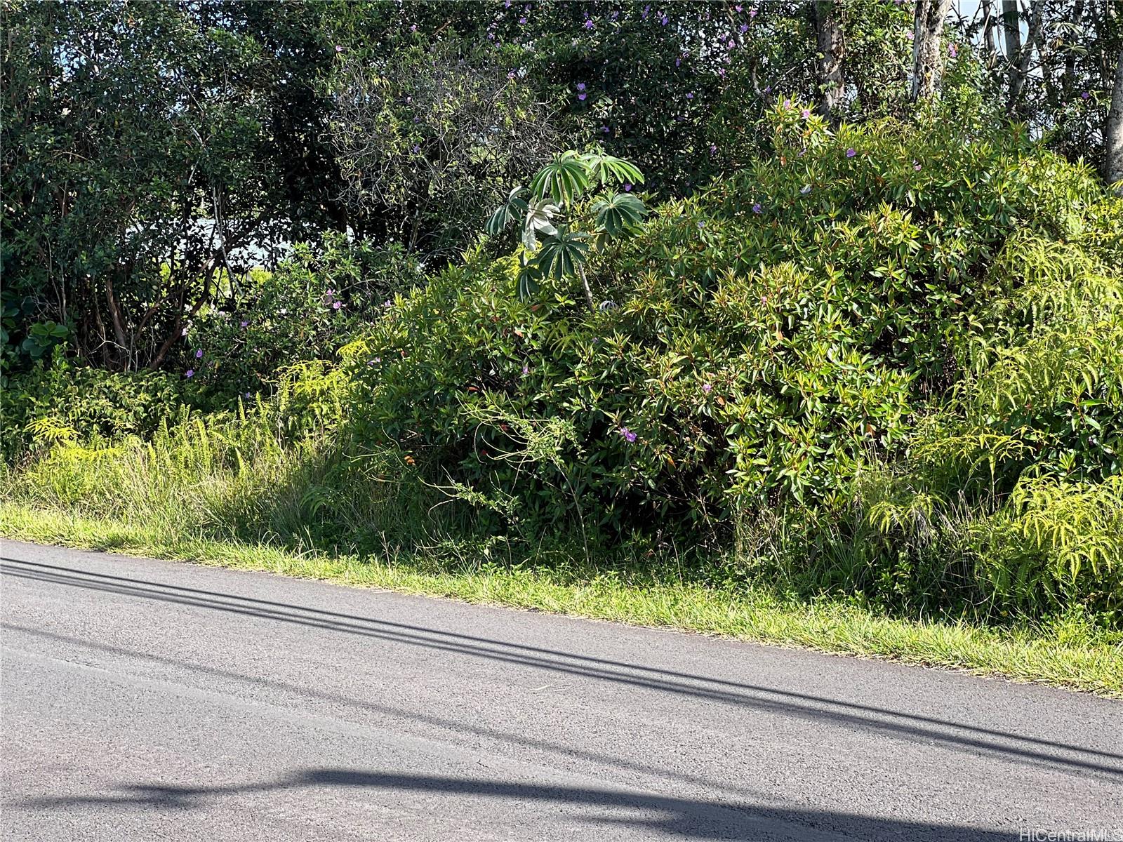 000 19th Ave  Keaau, Hi vacant land for sale - photo 3 of 15