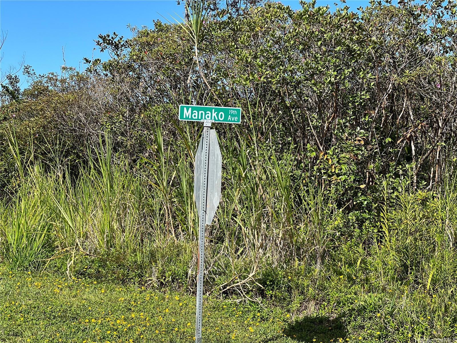 000 19th Ave  Keaau, Hi vacant land for sale - photo 5 of 15