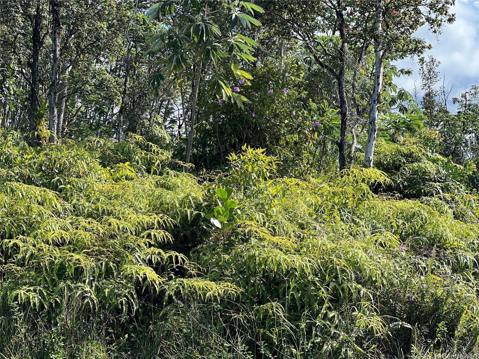 000 19th Ave  Keaau, Hi vacant land for sale - photo 6 of 15