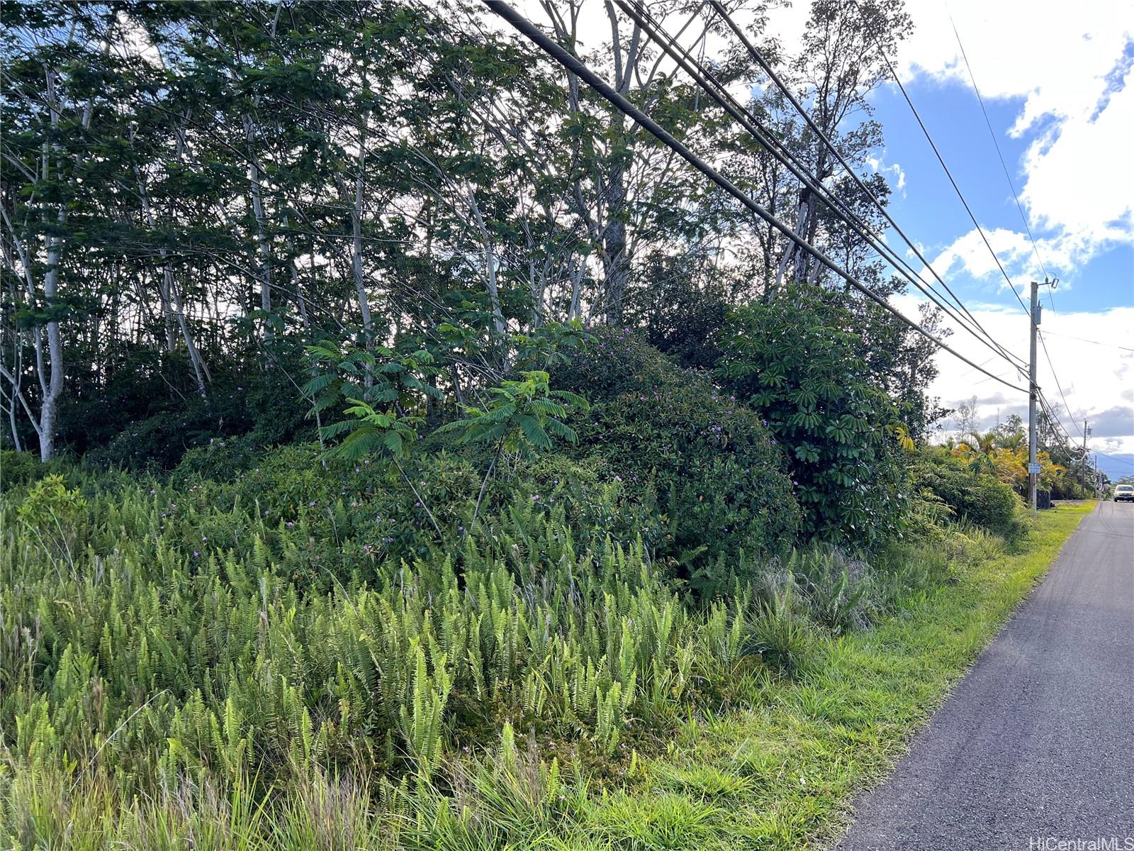 000 19th Ave  Keaau, Hi vacant land for sale - photo 10 of 15