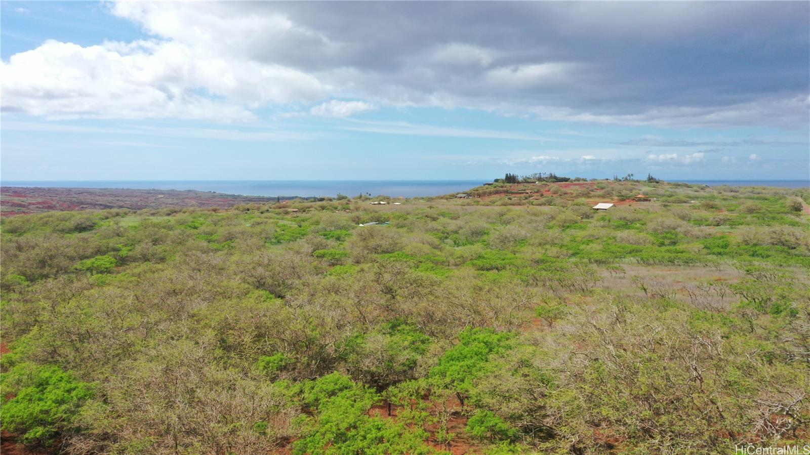 000 Kalua Koi Road Lot 38 Maunaloa, Hi vacant land for sale - photo 12 of 18