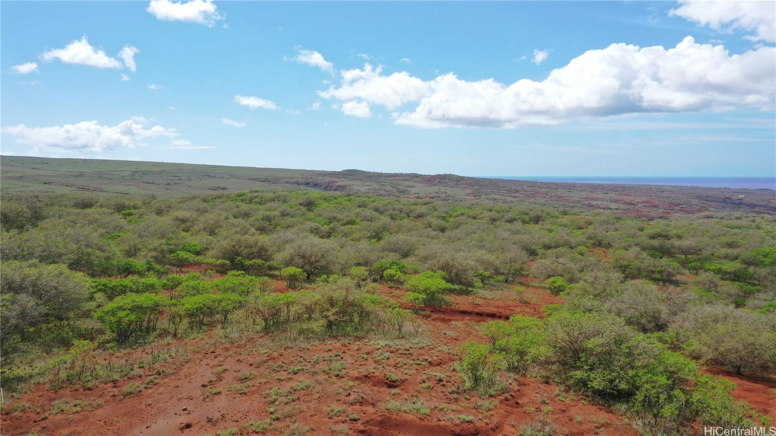 000 Kalua Koi Road Lot 38 Maunaloa, Hi vacant land for sale - photo 15 of 18