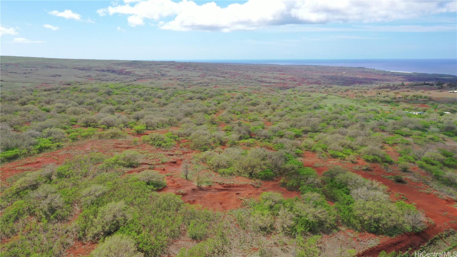 000 Kalua Koi Road Lot 38 Maunaloa, Hi vacant land for sale - photo 16 of 18