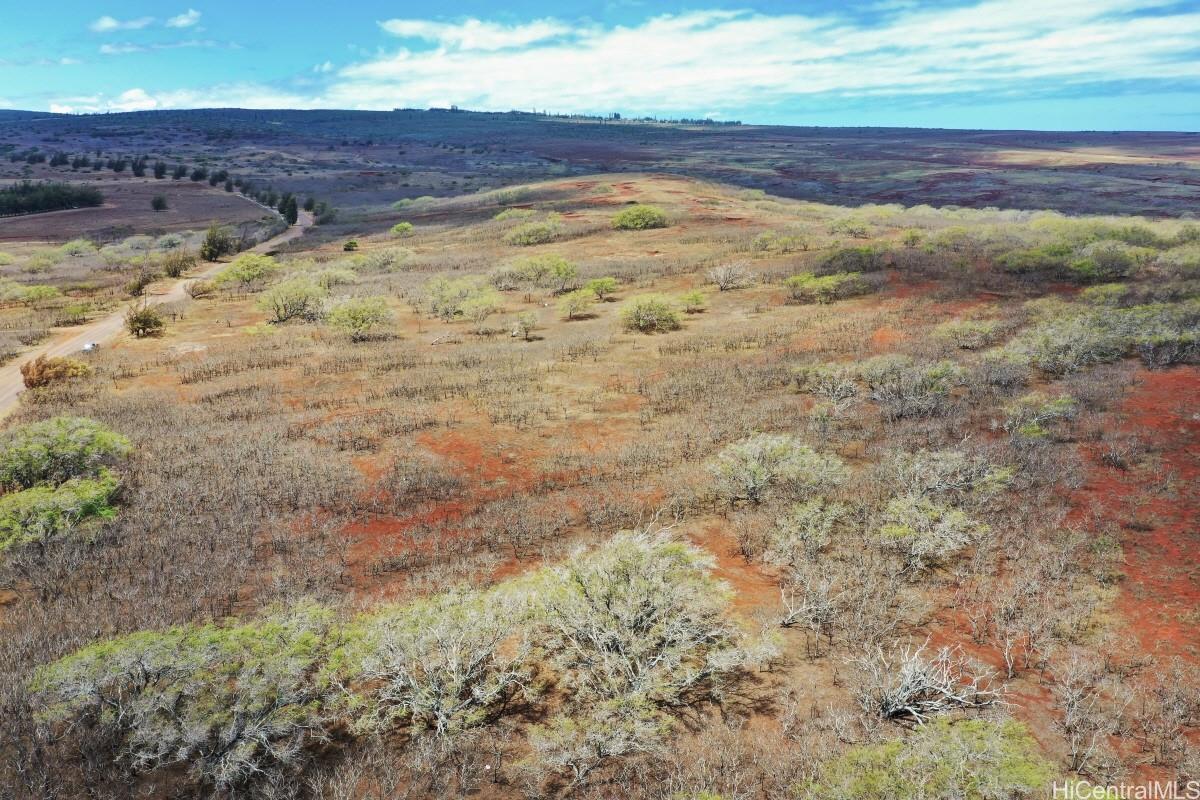 000 Kalua Koi Road Lot 38 Maunaloa, Hi vacant land for sale - photo 6 of 18