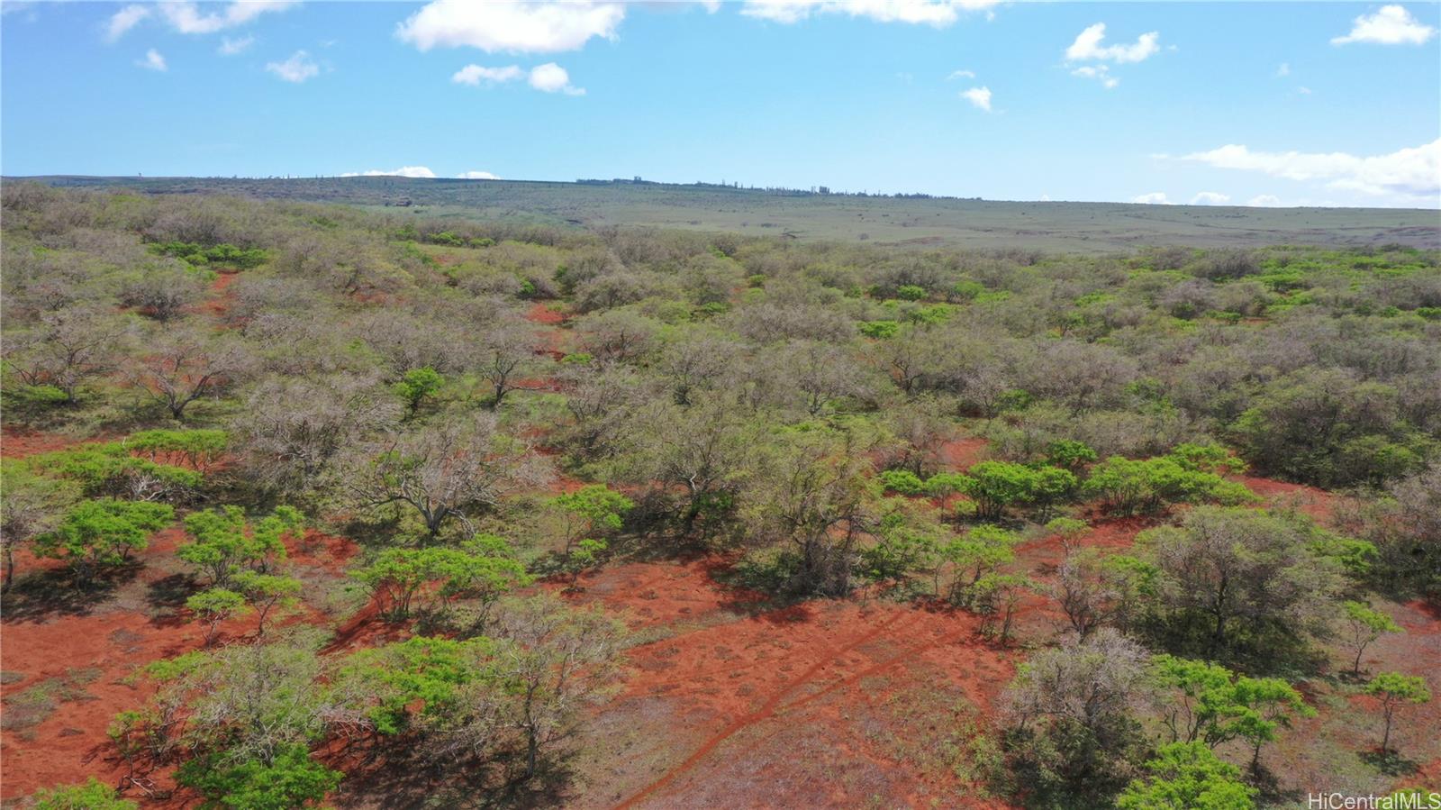 000 Kalua Koi Road Lot 38 Maunaloa, Hi vacant land for sale - photo 8 of 18