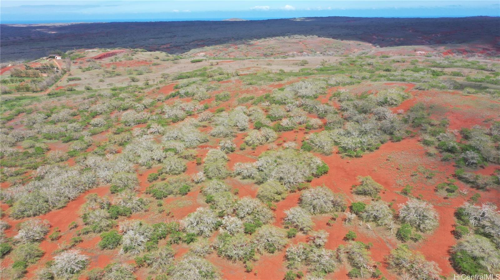 000 Kalua Koi Road Lot 38 Maunaloa, Hi vacant land for sale - photo 10 of 18