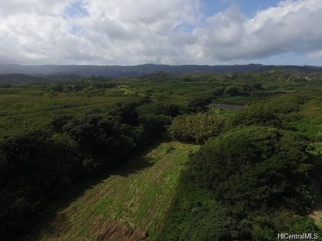 000 Kamehameha Hwy  Kahuku, Hi vacant land for sale - photo 18 of 19