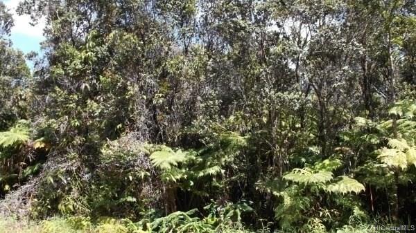000 Liona Street  Volcano, Hi vacant land for sale - photo 6 of 6