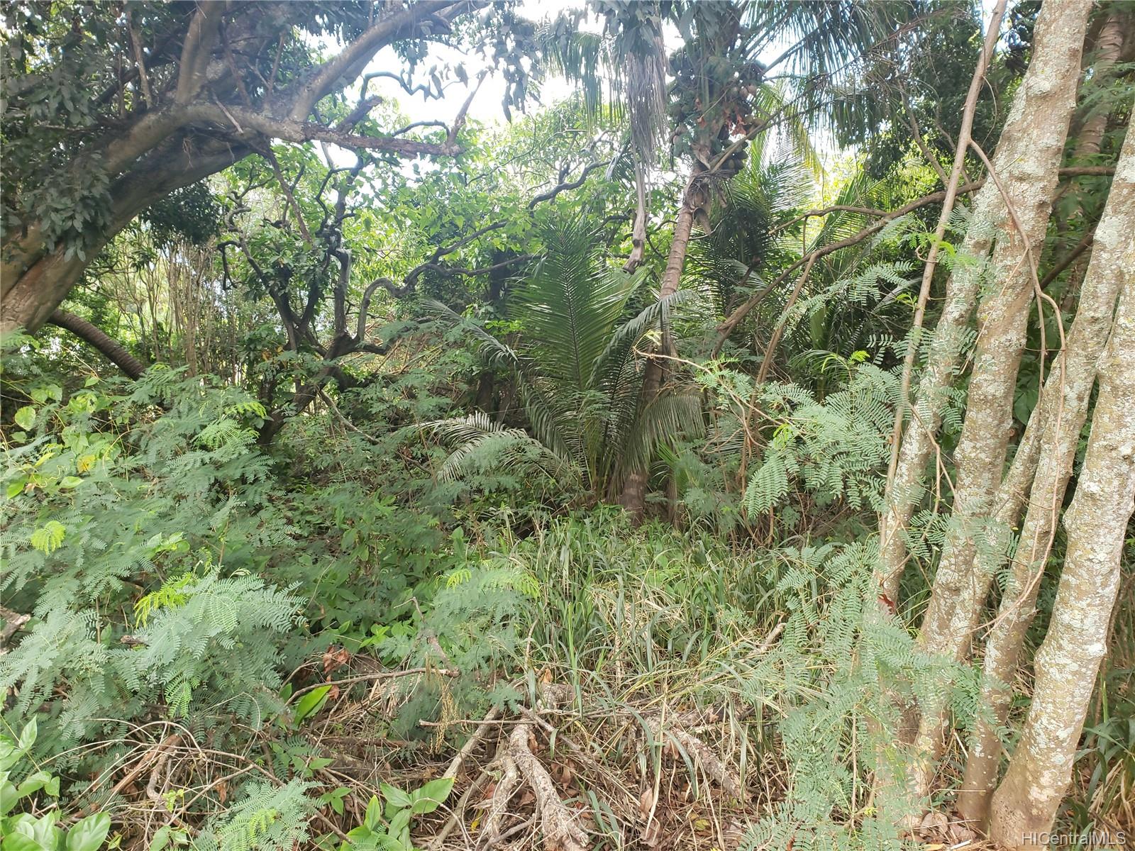 0000 Kamehameha Hwy Lot #3 Kaunakakai, Hi vacant land for sale - photo 4 of 4