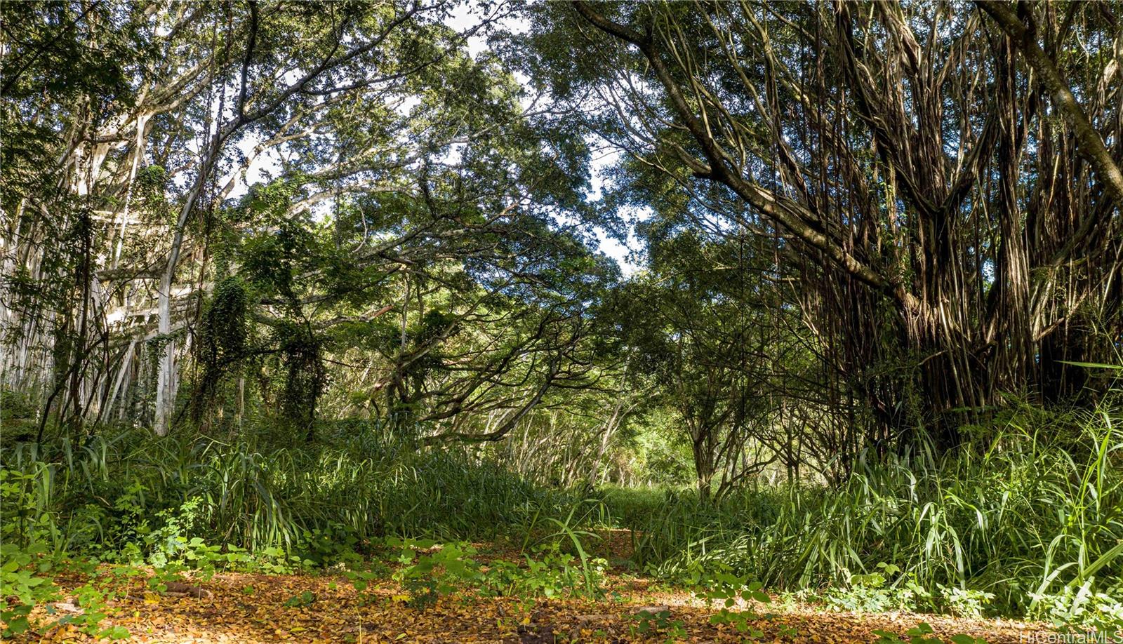 0000 Kamehameha Hwy Lot 35 Haleiwa, Hi vacant land for sale - photo 13 of 25