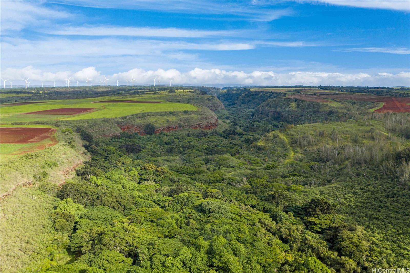 0000 Kamehameha Hwy Lot 35 Haleiwa, Hi vacant land for sale - photo 5 of 25