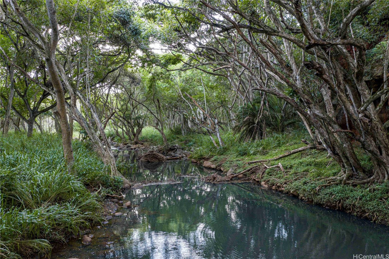 0000 Kamehameha Highway Lot 35 Haleiwa, Hi vacant land for sale - photo 18 of 25