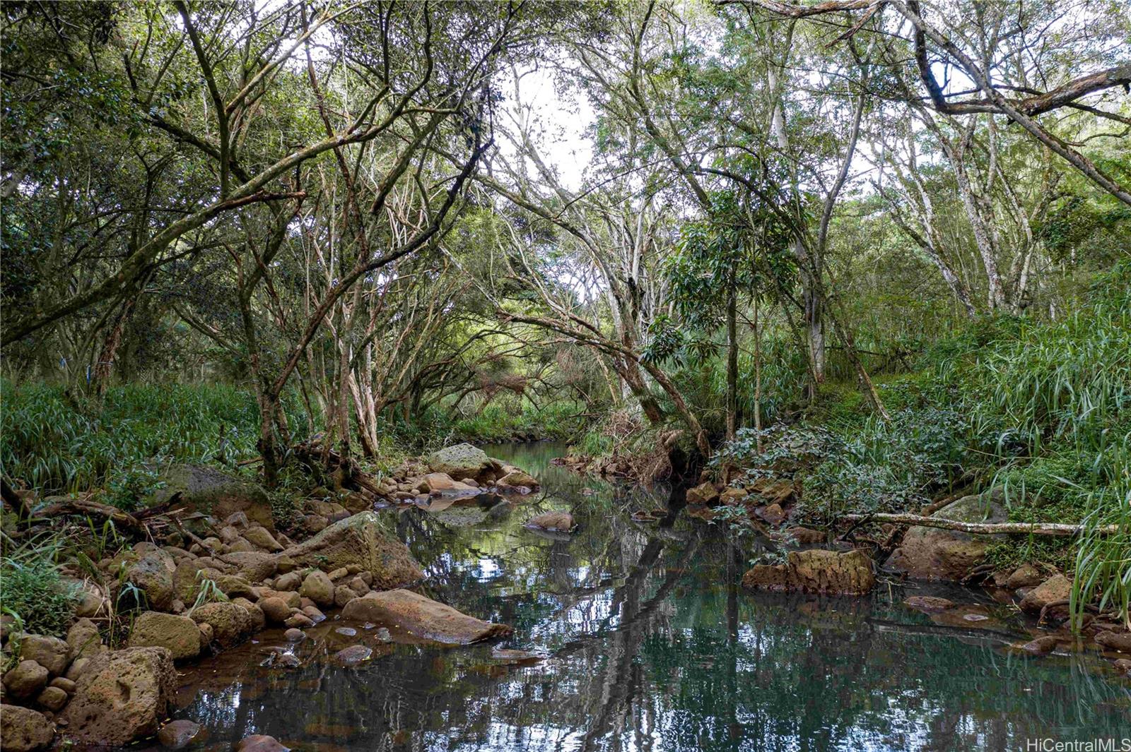 0000 Kamehameha Highway Lot 35 Haleiwa, Hi vacant land for sale - photo 21 of 25