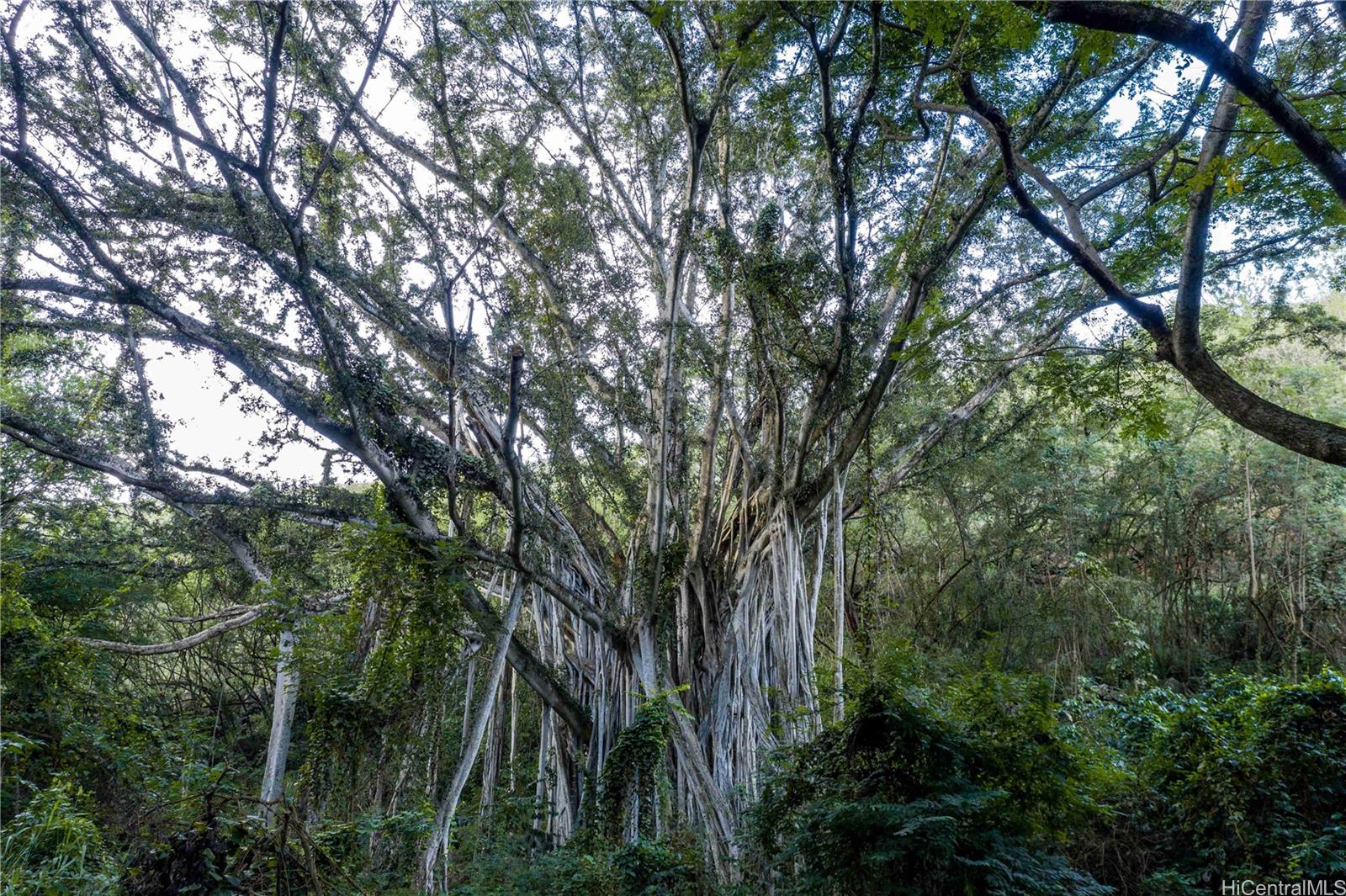 0000 Kamehameha Hwy Lot 38 Haleiwa, Hi vacant land for sale - photo 22 of 24