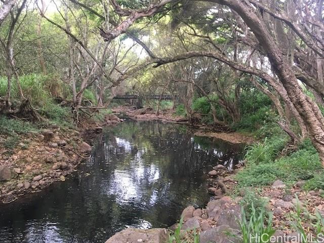 0000 Kamehameha Highway Lot 38 Haleiwa, Hi vacant land for sale - photo 12 of 24