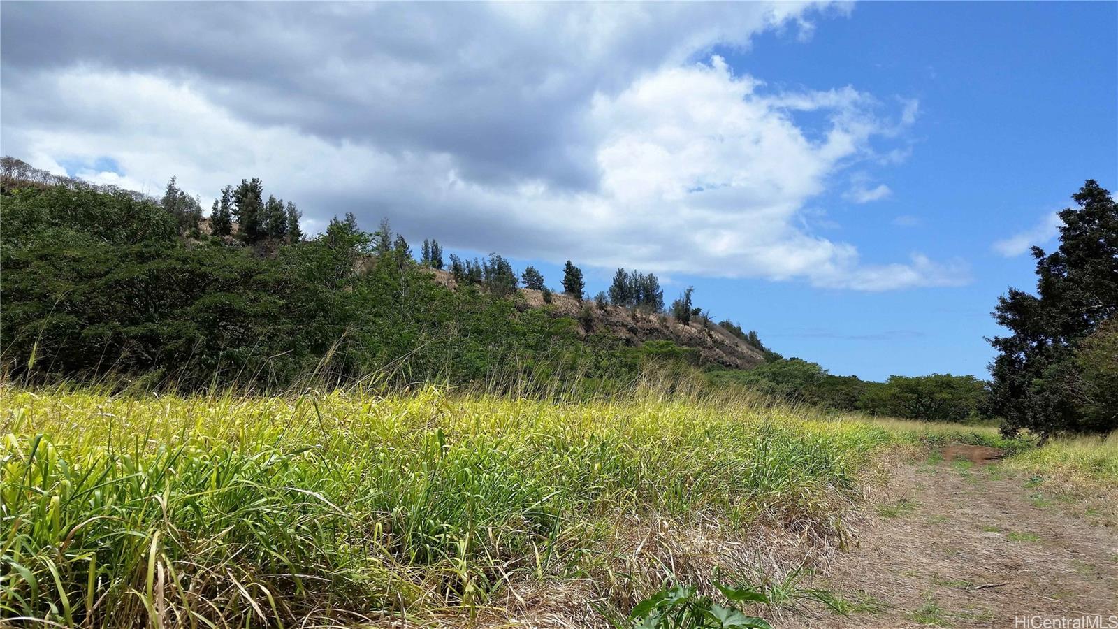 0000 Kamehameha Highway Lot 38 Haleiwa, Hi vacant land for sale - photo 16 of 24