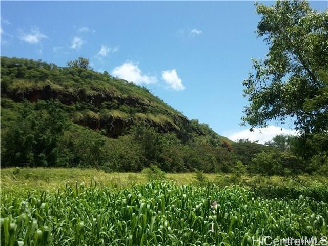 0000 Kamehameha Highway Lot 38 Haleiwa, Hi vacant land for sale - photo 17 of 24
