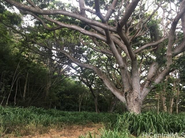 0000 Kamehameha Highway Lot 38 Haleiwa, Hi vacant land for sale - photo 18 of 24
