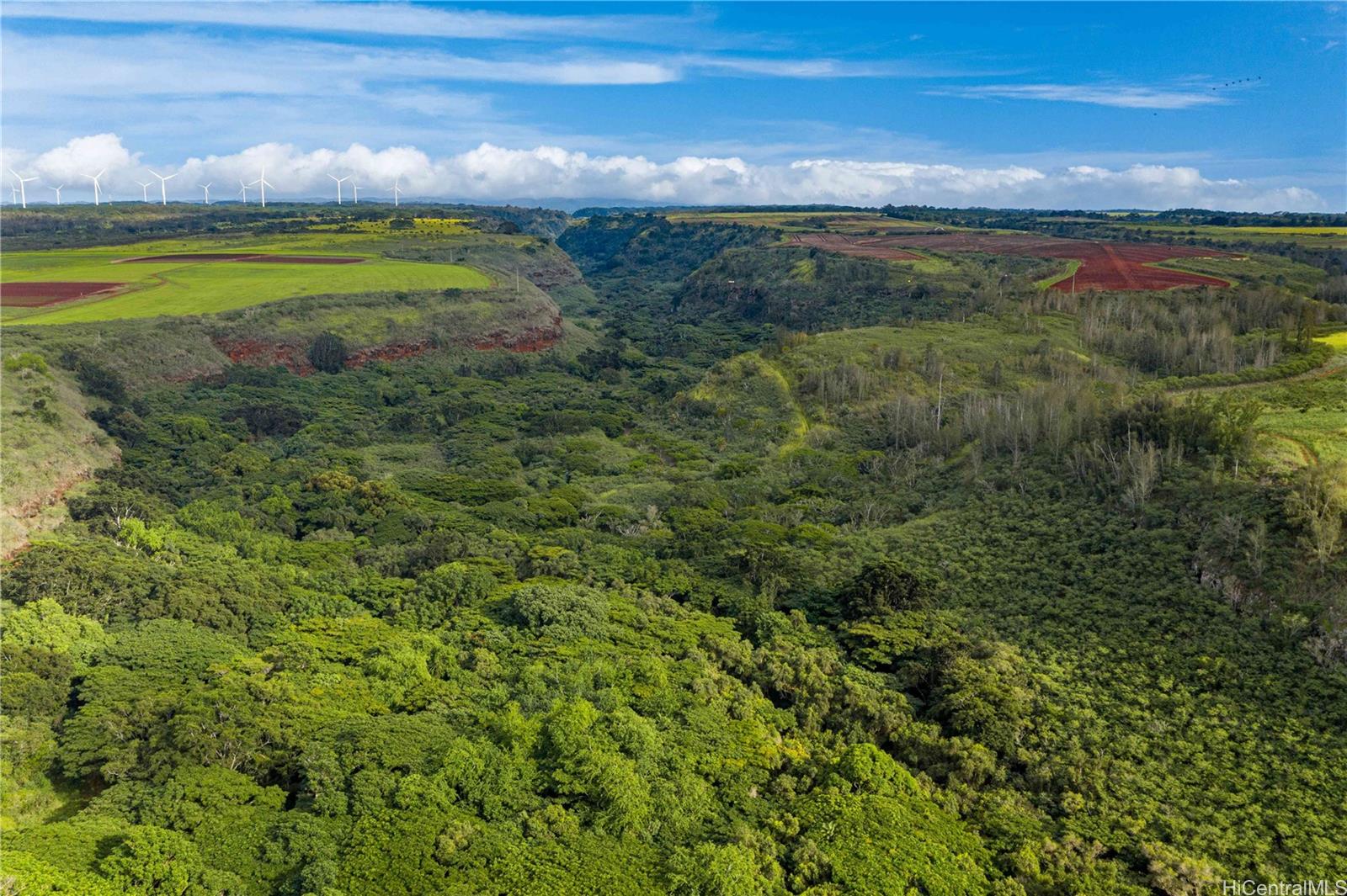 0000 Kamehameha Highway Lot 38 Haleiwa, Hi vacant land for sale - photo 20 of 24
