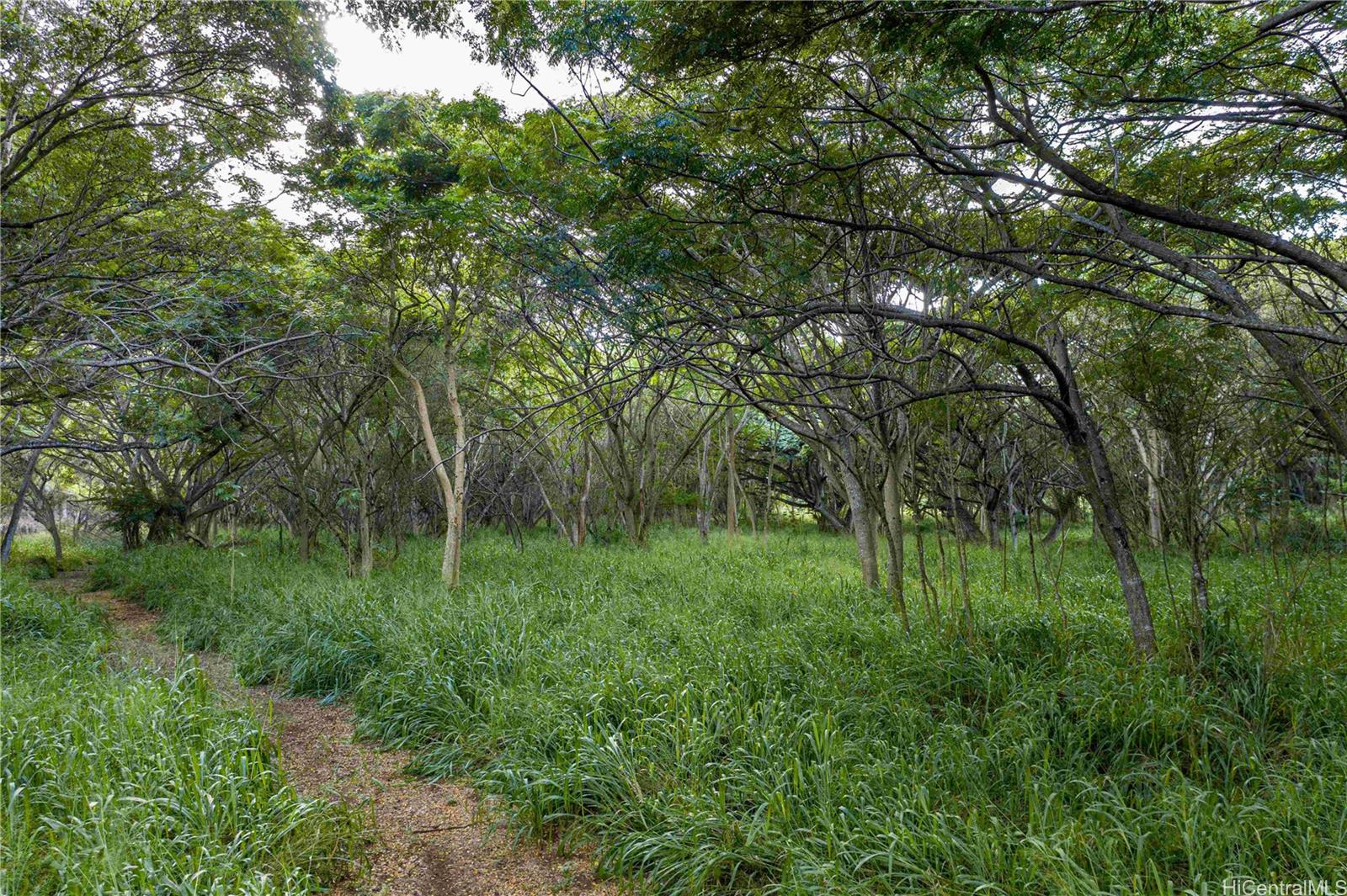 0000 Kamehameha Highway Lot 38 Haleiwa, Hi vacant land for sale - photo 21 of 24