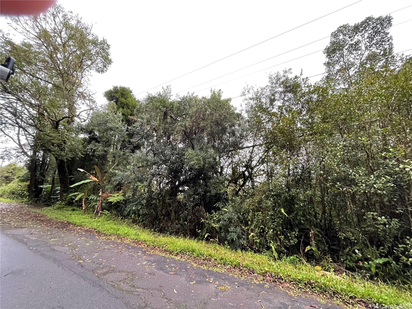 0000 Palainui St  Mountain View, Hi vacant land for sale - photo 3 of 12