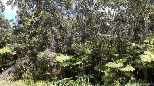 000000 Liona Street  Volcano, Hi vacant land for sale - photo 2 of 3