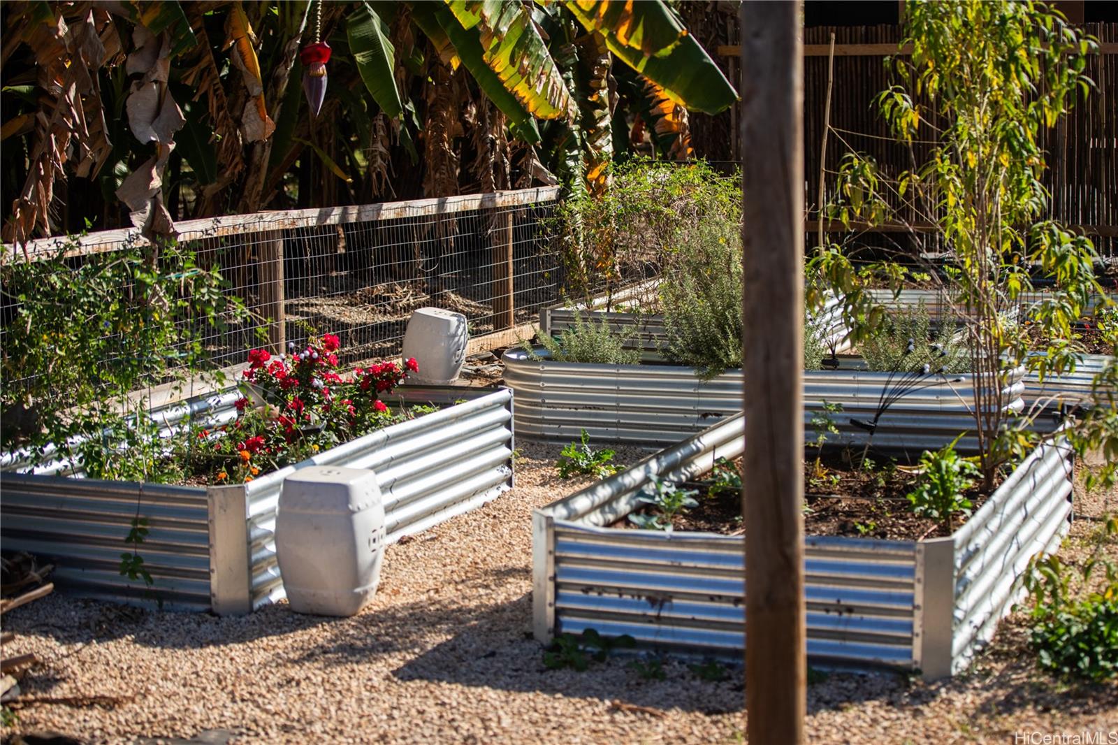 004  Kaukonahua Rd Ag/preserve, North Shore home - photo 20 of 25