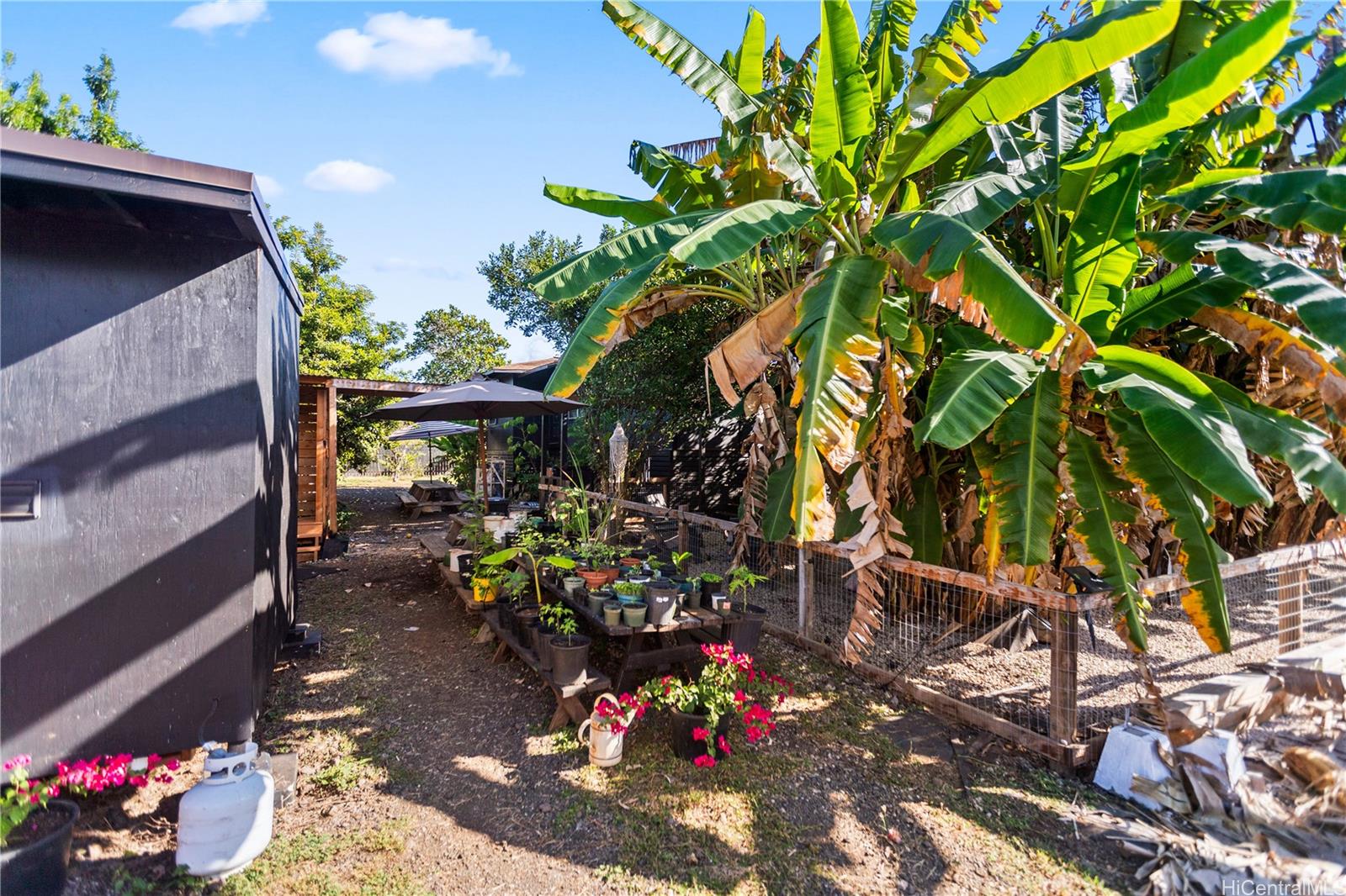 004  Kaukonahua Rd Ag/preserve, North Shore home - photo 22 of 25