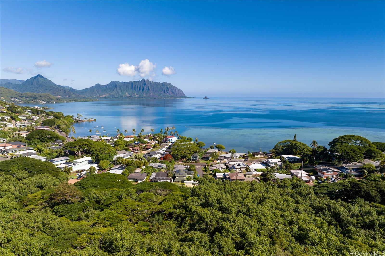 1 Kamehameha Hwy  Kaneohe, Hi vacant land for sale - photo 4 of 11