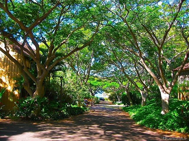 paniolo hale condo # Q2, Maunaloa, Hawaii - photo 18 of 24