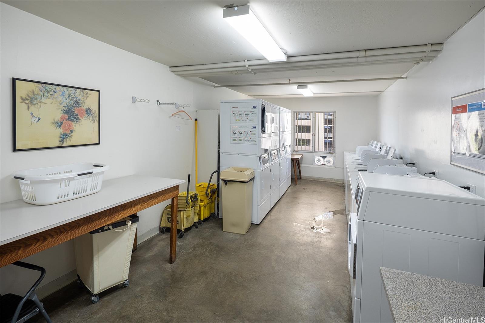 1001 Wilder Ave Honolulu - Rental - photo 10 of 19