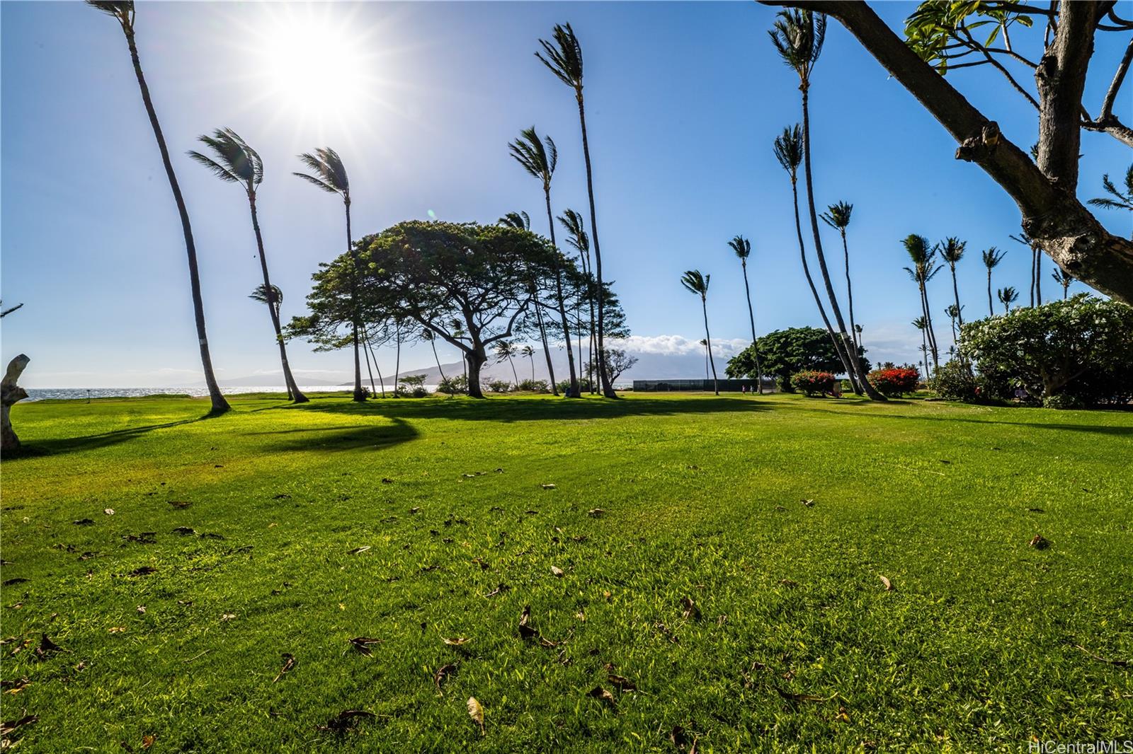 Waipuilani Condominiums condo # 205, Kihei, Hawaii - photo 16 of 24