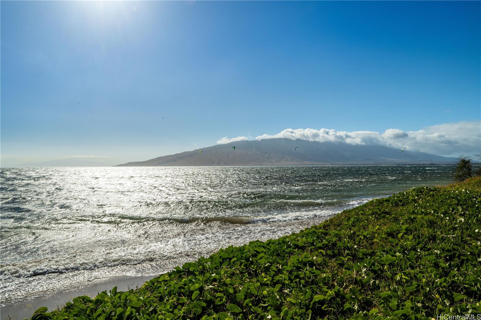 Waipuilani Condominiums condo # 205, Kihei, Hawaii - photo 22 of 24