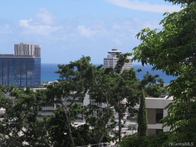 Sea View condo # 9, Honolulu, Hawaii - photo 15 of 17