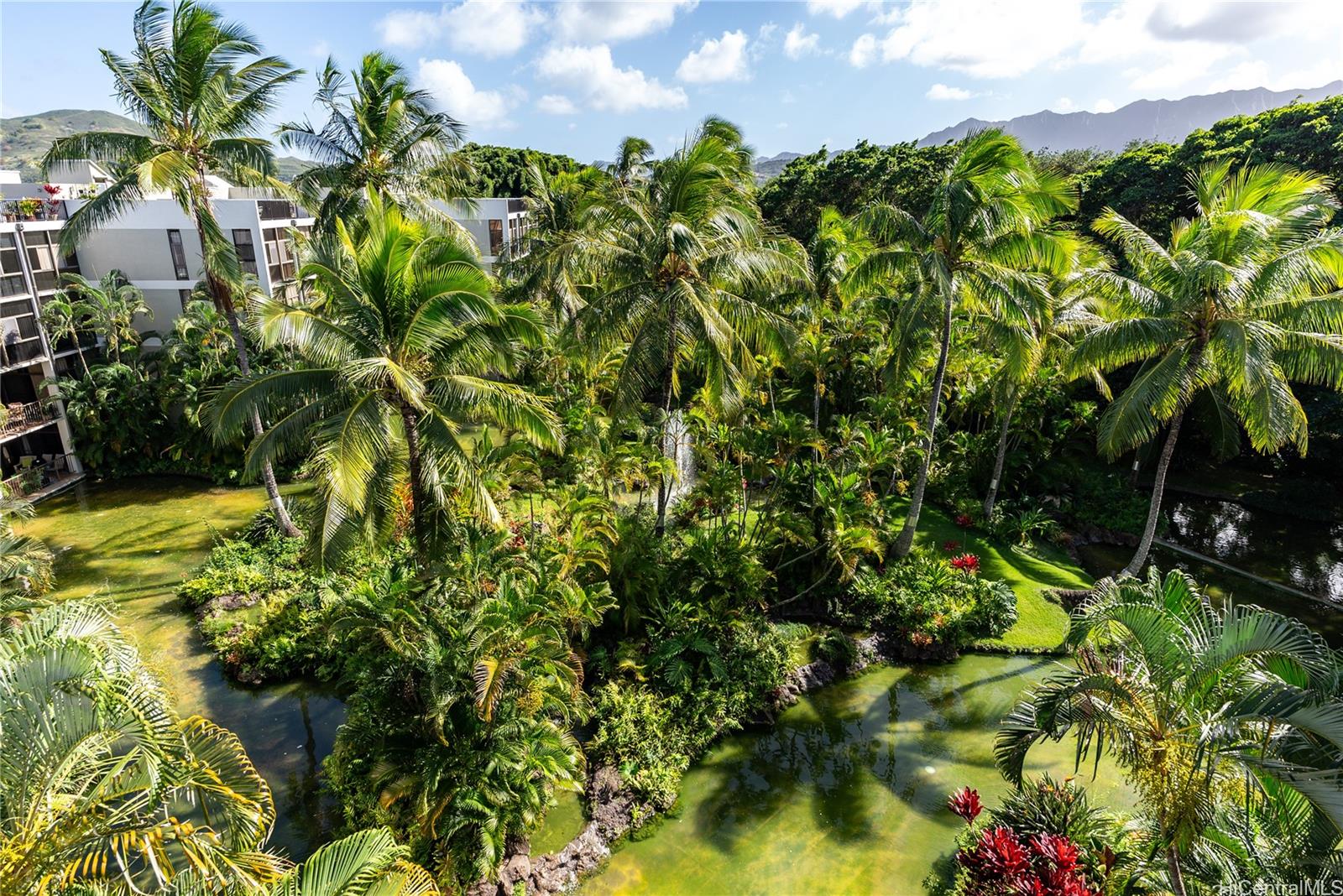 Windward Cove condo # 409A, Kailua, Hawaii - photo 4 of 25