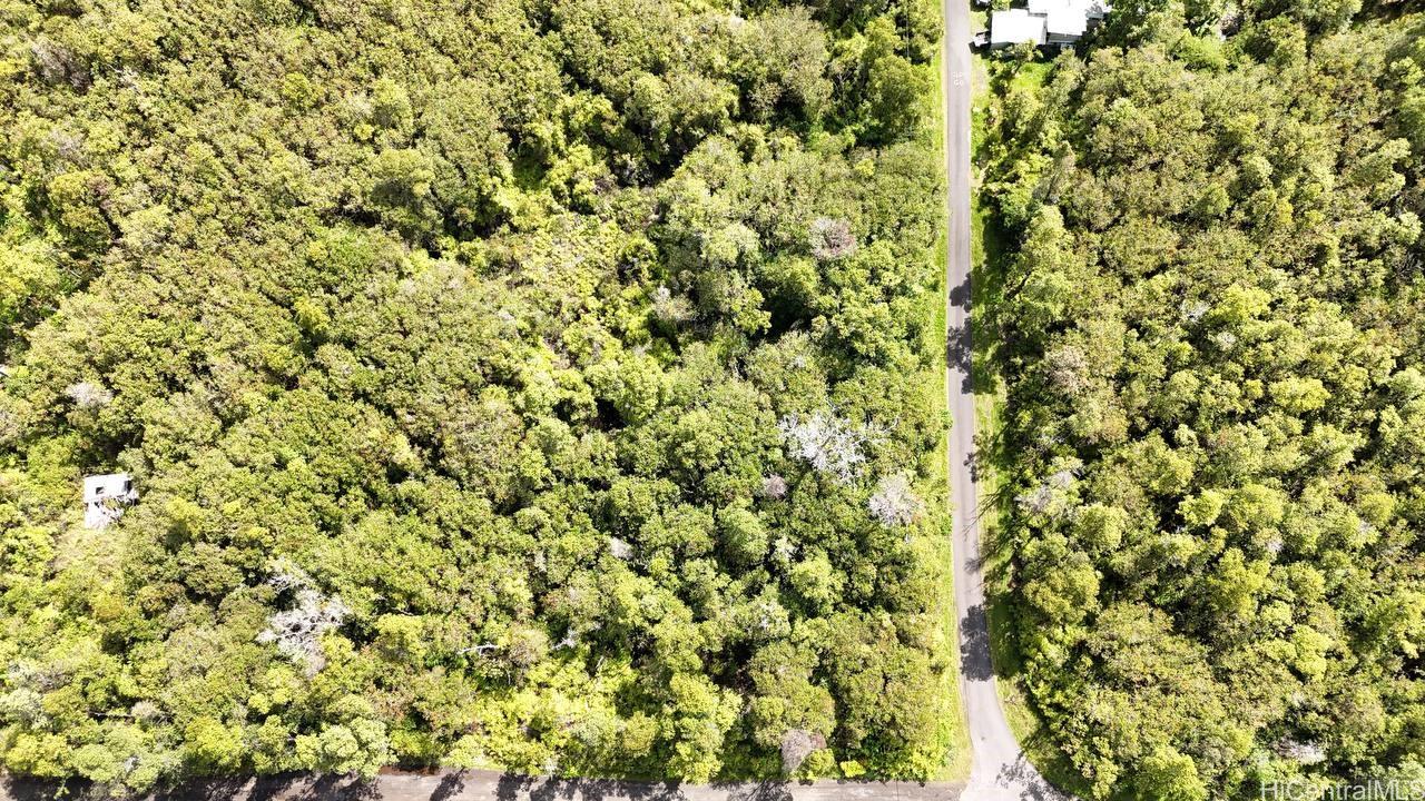 11-1733 Punawai Ave  Mountain View, Hi vacant land for sale - photo 3 of 4