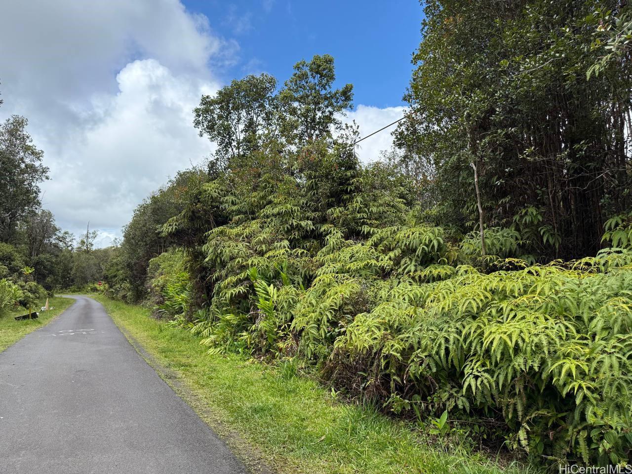 11-1733 Punawai Ave  Mountain View, Hi vacant land for sale - photo 4 of 4