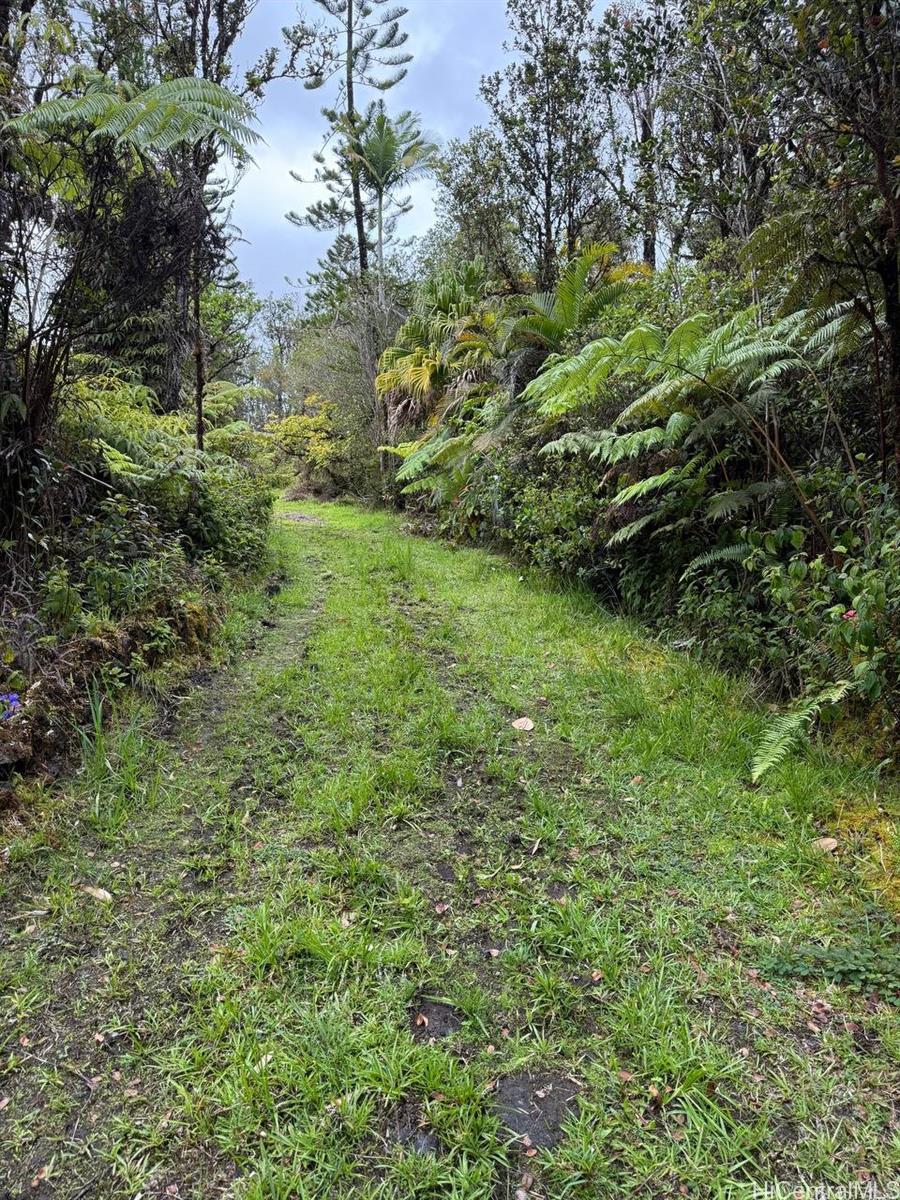 11-1778 Ahiukau Street  Mountain View, Hi vacant land for sale - photo 15 of 18