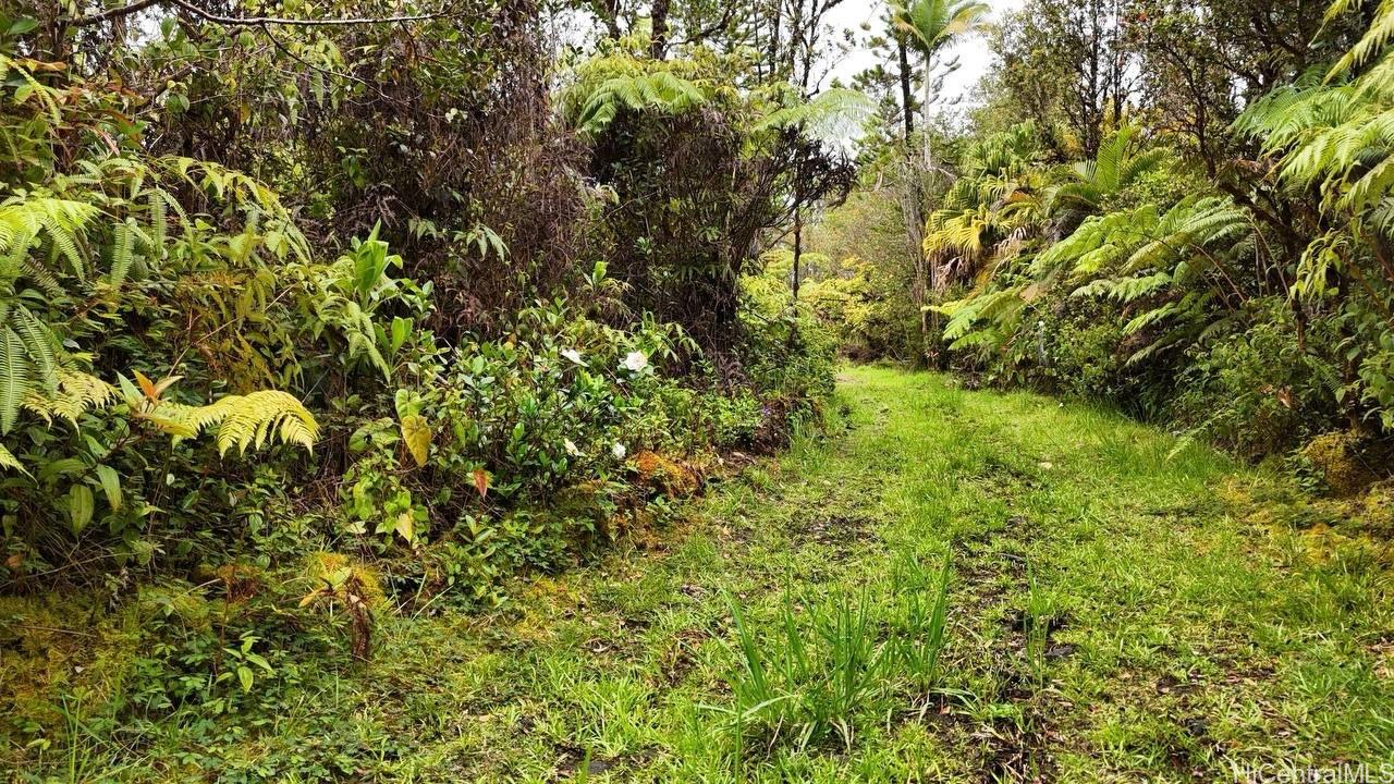 11-1778 Ahiukau Street  Mountain View, Hi vacant land for sale - photo 17 of 18
