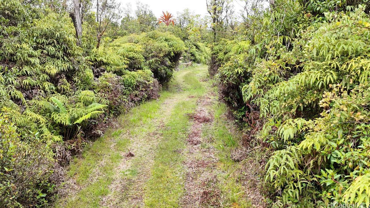 11-1785 Punahele Ave  Mountain View, Hi vacant land for sale - photo 12 of 12