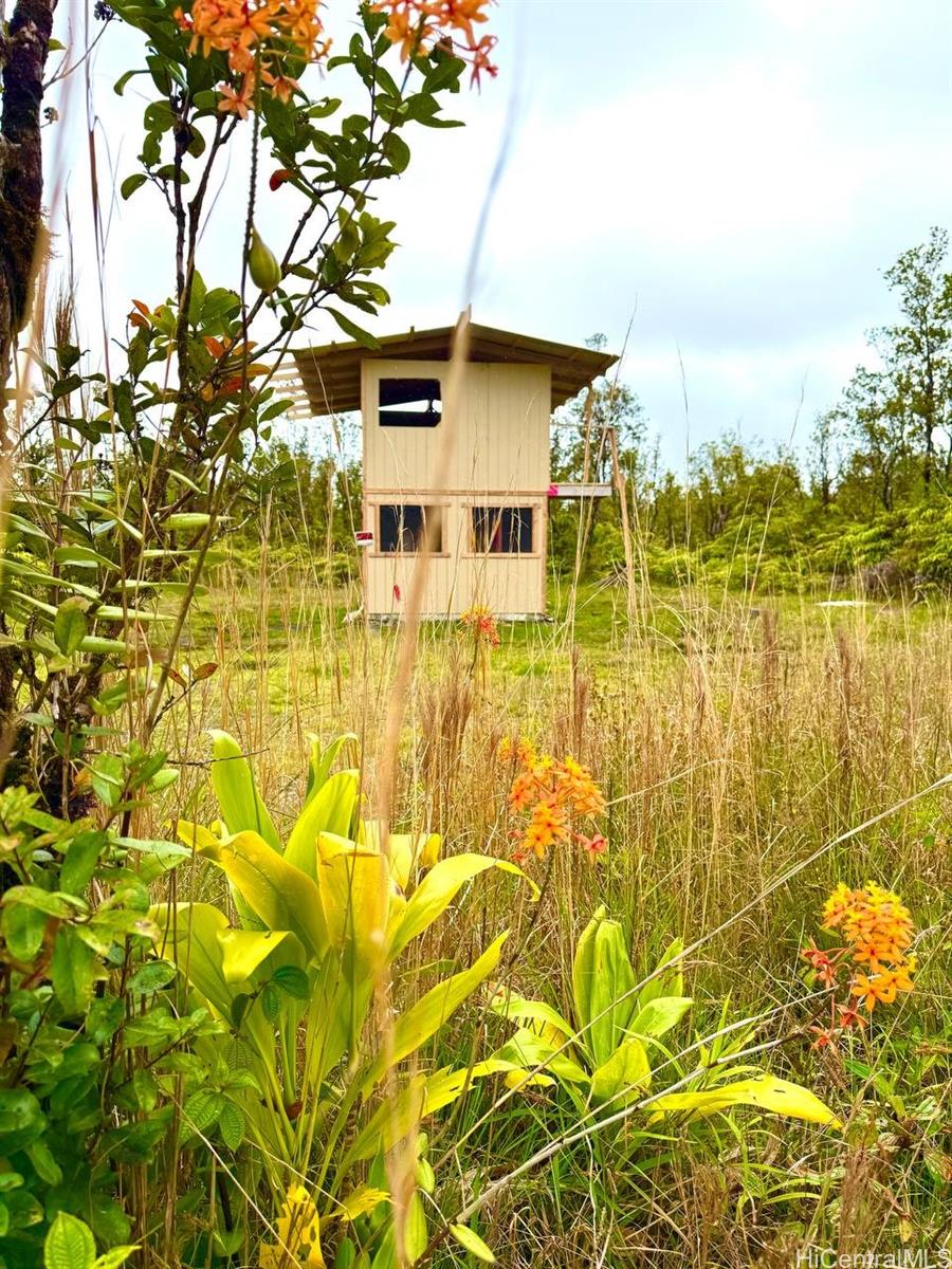 11-1785 Punahele Ave  Mountain View, Hi vacant land for sale - photo 10 of 12