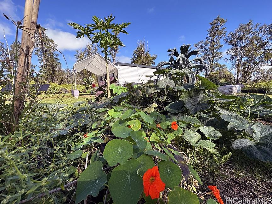11-1833  Naia Street Eden Rock Est, Puna home - photo 15 of 21