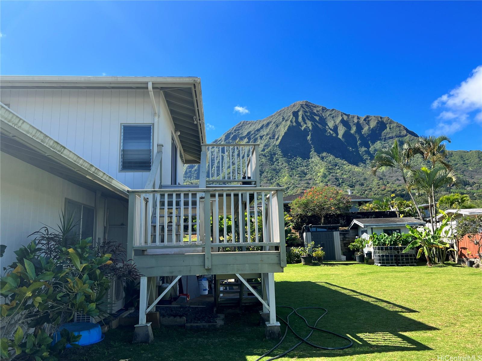 1119 Lunahelu Pl Kailua - Rental - photo 2 of 7