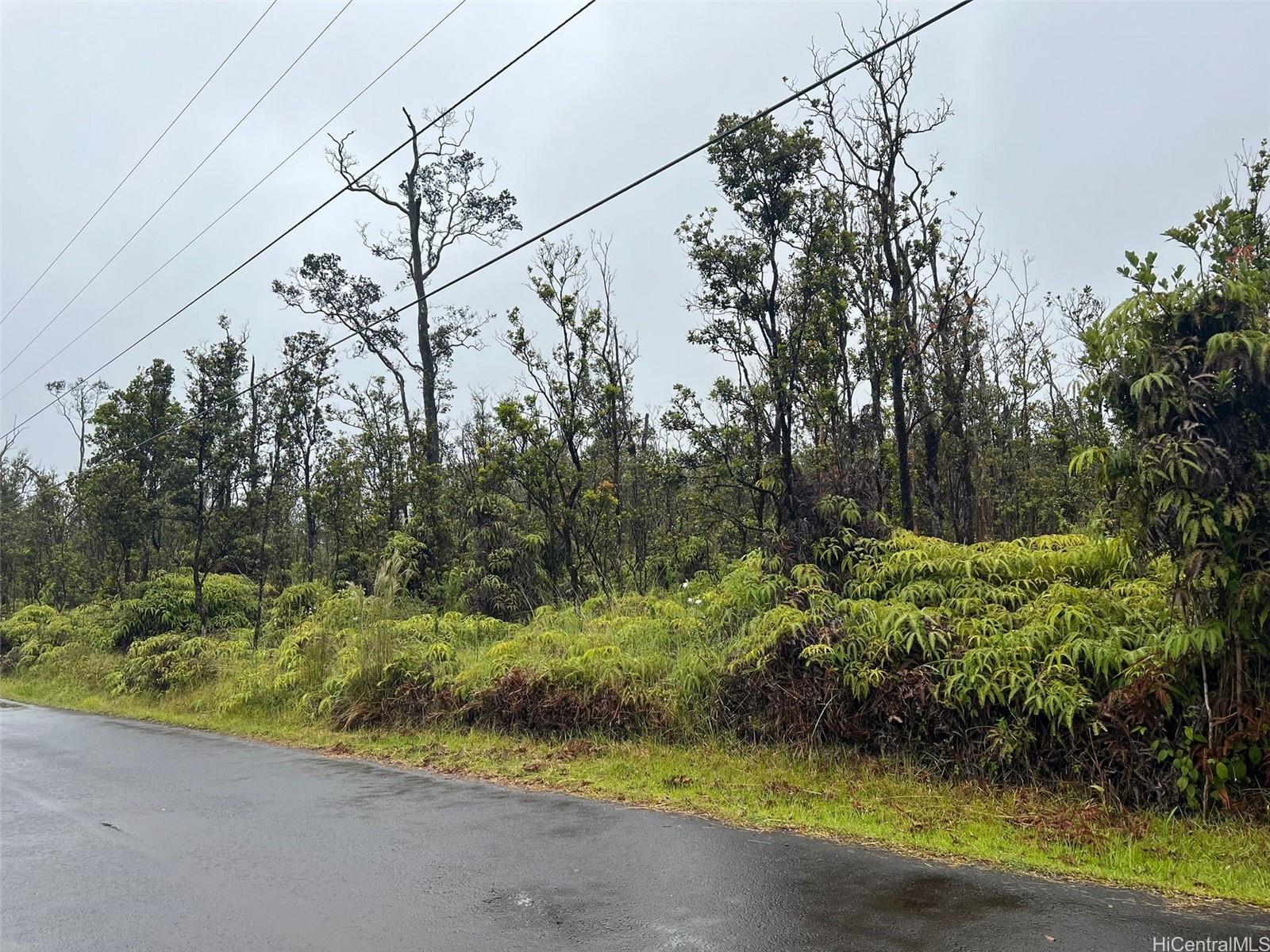 11-2683 Ala Kapena Rd  Volcano, Hi vacant land for sale - photo 2 of 6